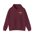 Hoodie — 'Why Pay Retail? RowZ Is Legendary' CSSC Graphic Pullover
